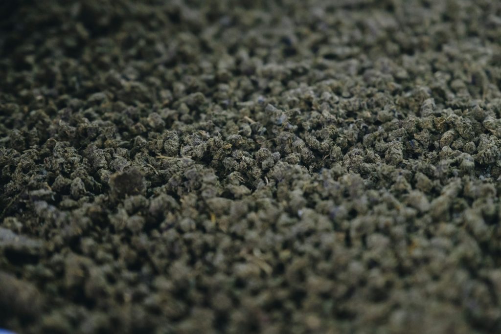 Risks of ignoring wet carpets.